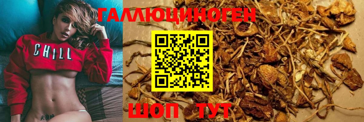 Калуга  Галлюциногенные грибы Psilocybe  Вход с VPN 